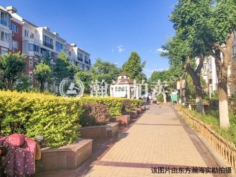 怡美家园13号楼1单元703室