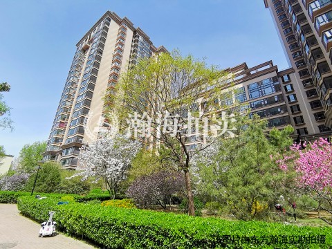 东区国际C区负C26号
