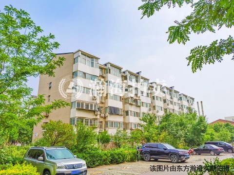 白露雅园东区17号楼3单元603室