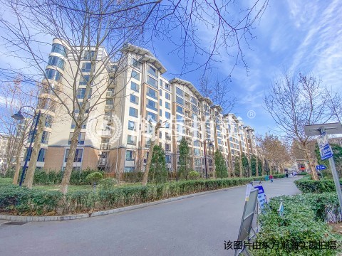 乐府江南14号楼C2033号（1车位）