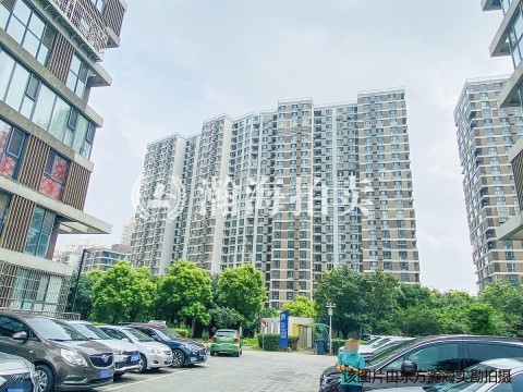 沸城1号楼1单元1703室