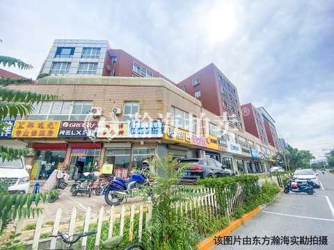 华龙苑北里6号楼3单元502室（50%份额）
