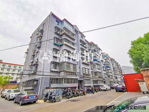 东兴一区29号楼四单元101室