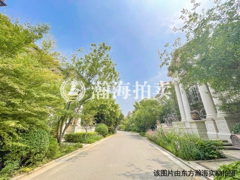 远洋LAVIE110号楼102号（别墅）