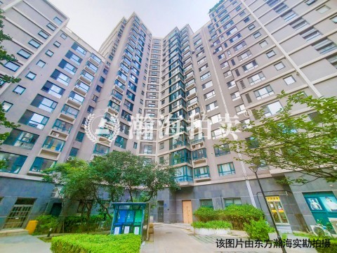 西屋国际C座903室