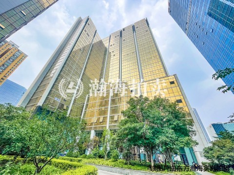 网信大厦1号楼608室