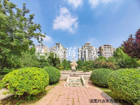 巧克力城22号楼2单元806室