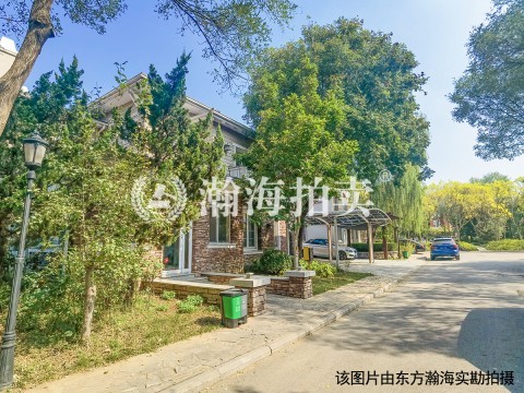 珠江壹千栋一期103号别墅