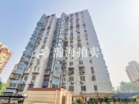 农光东里33号楼503室