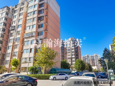 定海园二里9号楼1单元801室