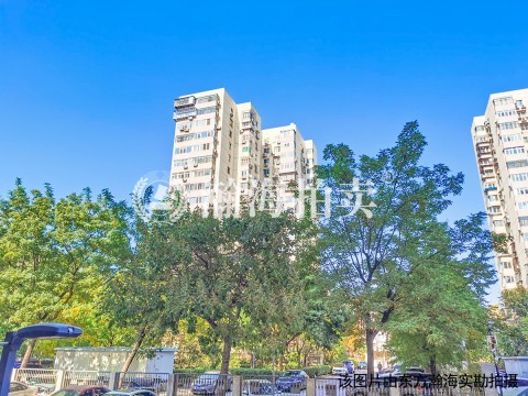 大成里春园（吉祥园）3号楼1单元210室