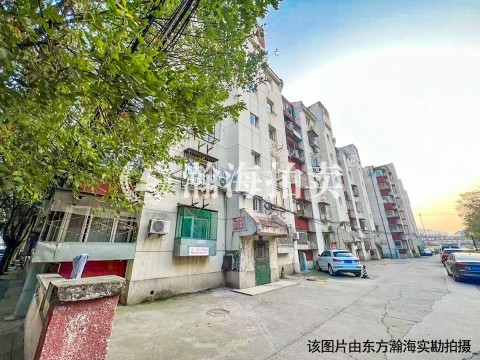 樱花园六区2号楼3单元202室