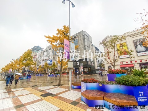 丹耀大厦0805室（复式）