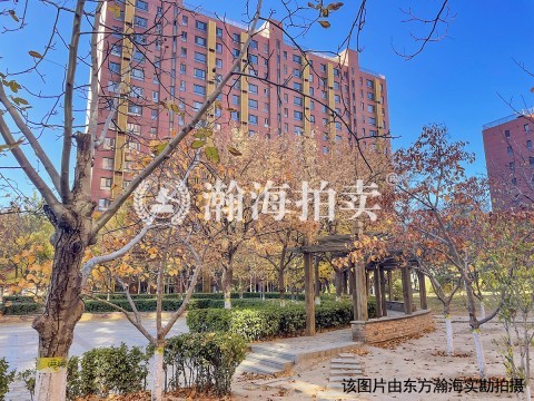阳光花园2号楼2-15室