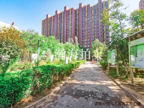 阳光花园10号楼负205号