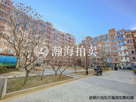 新世界家园6号楼4单元102室