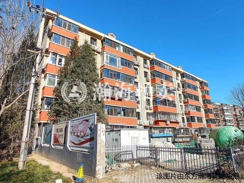 玉桥东路38号院411室