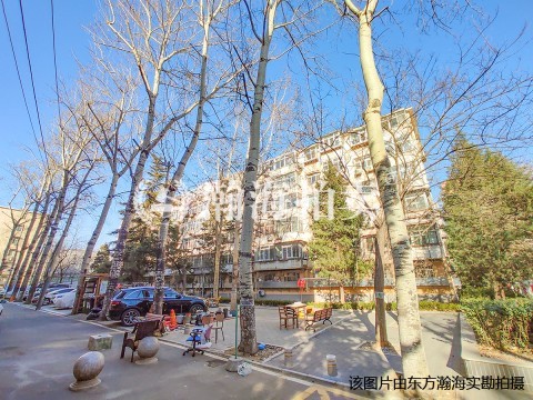 团结湖北四条7号楼2单元103室