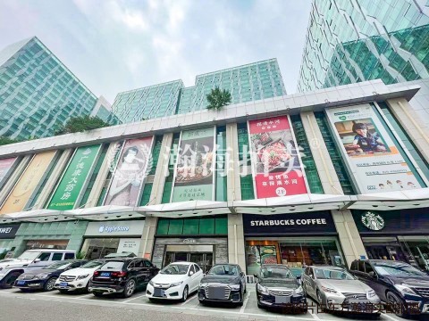 朗琴国际大厦1号楼909室