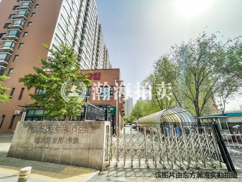 丽水莲花负044号