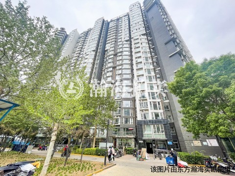 国美第一城2号院5号楼T19303室