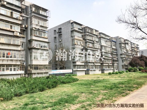 仓上小区丙19号楼1单元202室