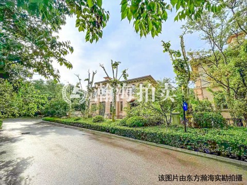 泰禾中国院子100号（别墅）