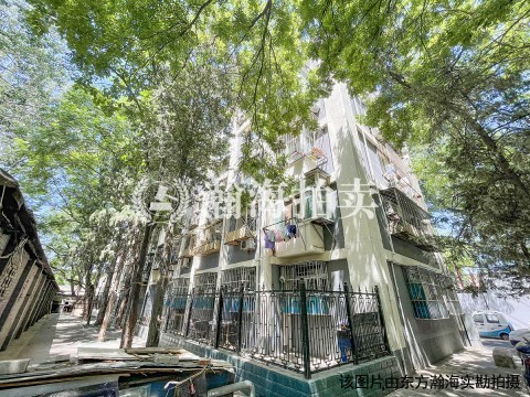 天坛东里中区8号楼4单元2室