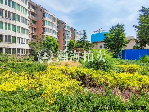 柳岸景园11、13号1-2层商业房地产