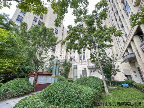 蓝光云鼎负1层03室及102室