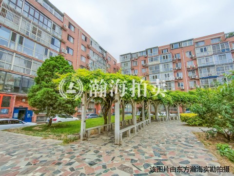 泰中花园1号楼6单元303室