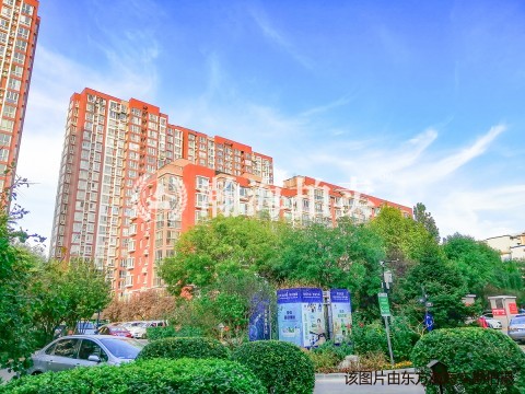 彩虹城四区6号楼319室