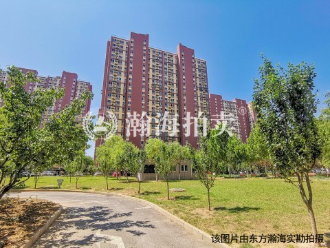 朝阳新城四区7号楼1单元802室