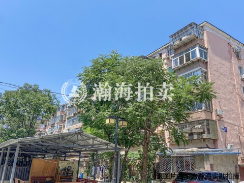 南环里17号楼4单元56室