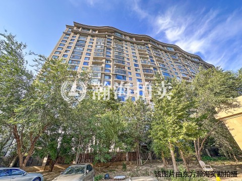 丽都水岸A区7号楼204室