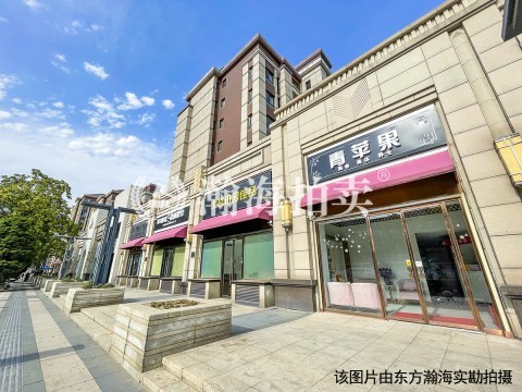 鸿坤花语墅10幢负1层2081号车位（限制业主竞买）