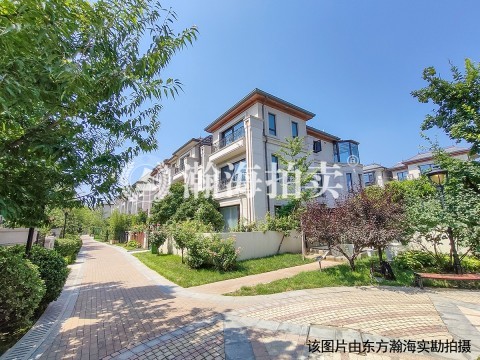 新世界丽樽2号楼3号（别墅带2车位）