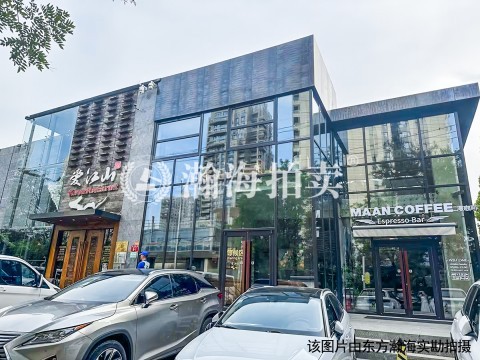 丽都悦府2号楼301室