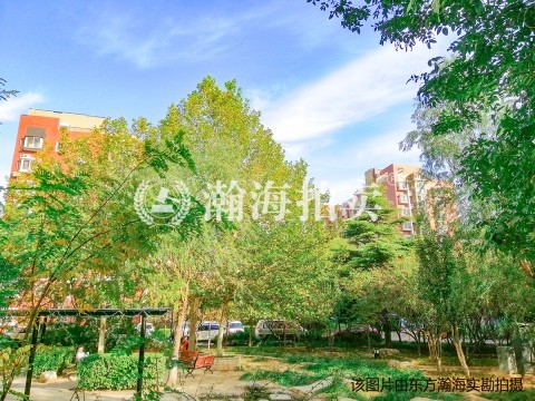 彩虹城四区6号楼123室