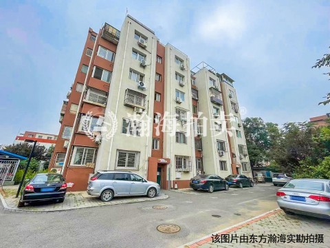 三元村 甲13号楼231室