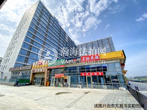 珠江摩尔国际中心6号楼1单元1001室（LOFT）