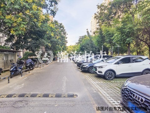 华龙美树负017号