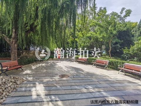 华龙美树负023号