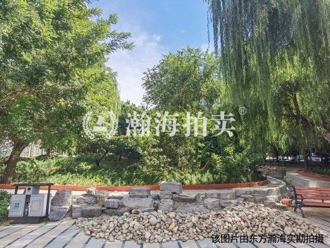 华龙美树负016号