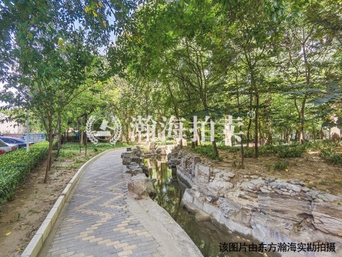 华龙美树负025号