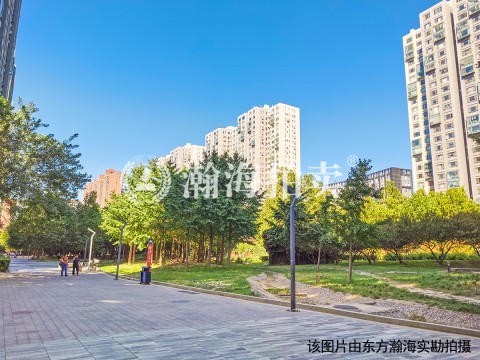 苹果社区2号楼3座1015室