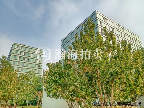 上第MOMA 16号楼103室