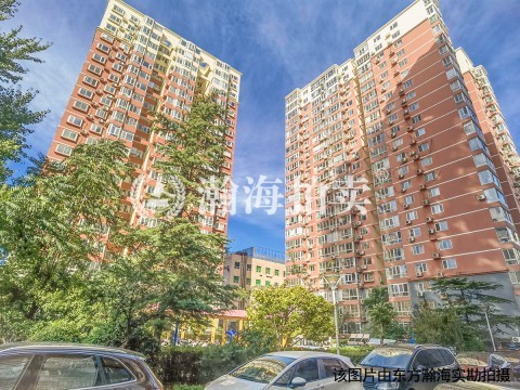东景苑113号楼607室