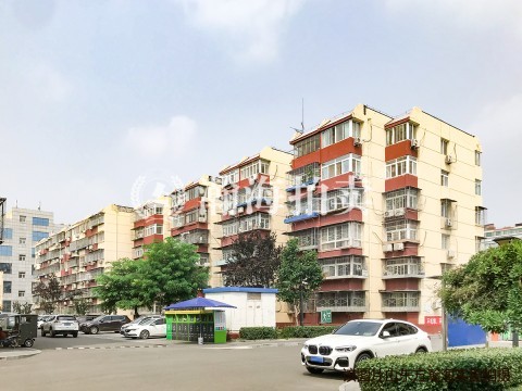 梨园东里26号楼1单元161室