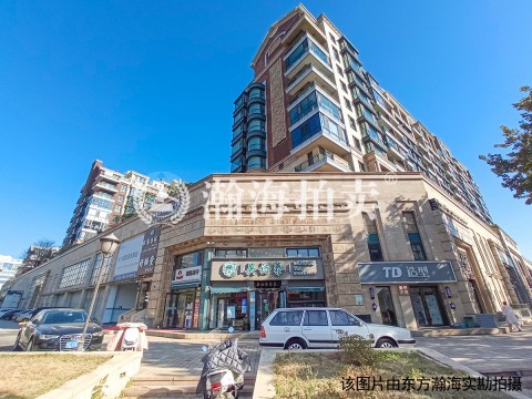 山水文园四期203号楼101室至105室及地下209个车位